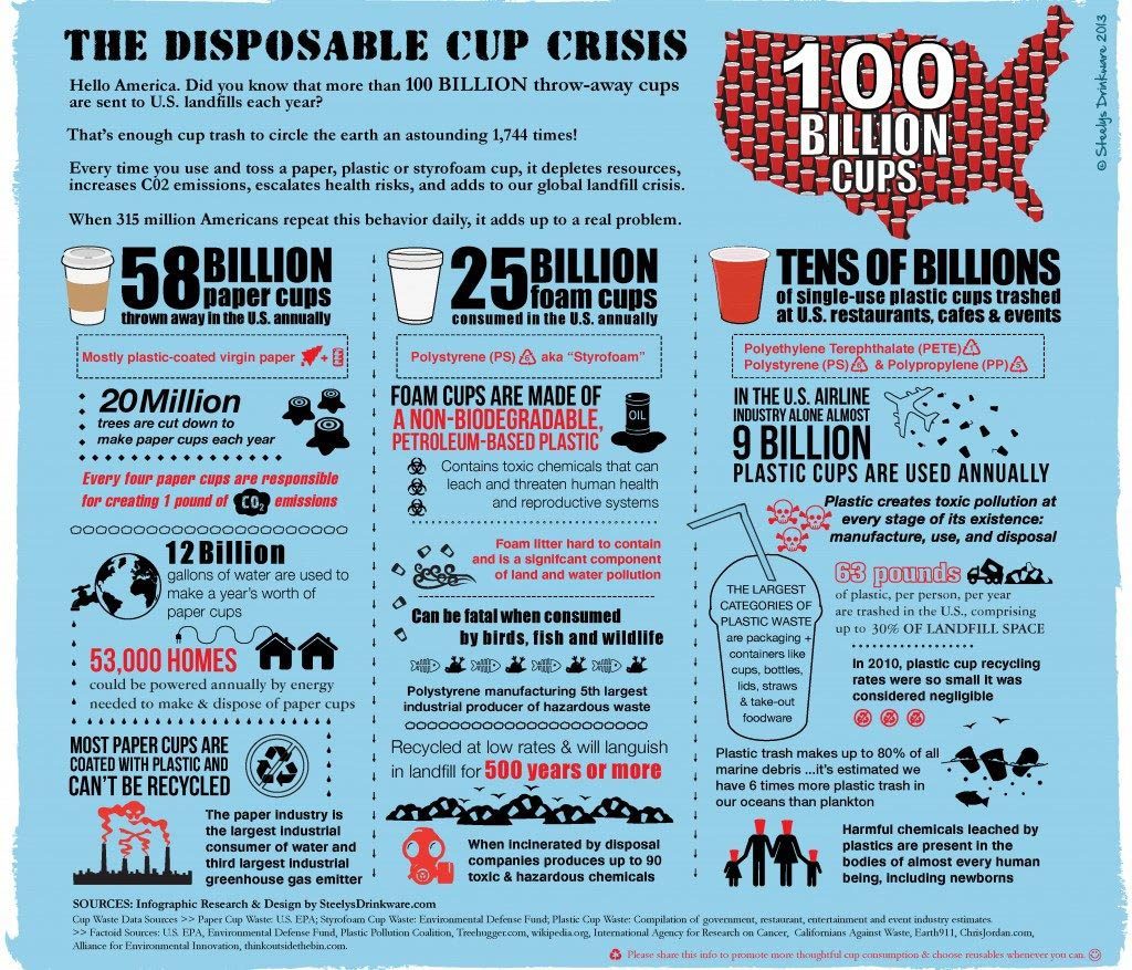 Disposable cup infographic