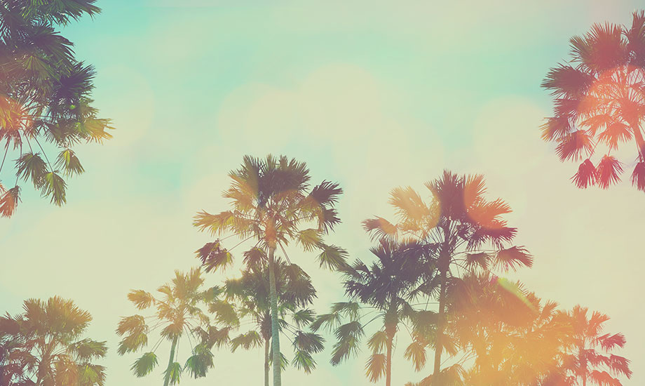 Sunny in California: California-Based Brands You Need in Your Office Pantry